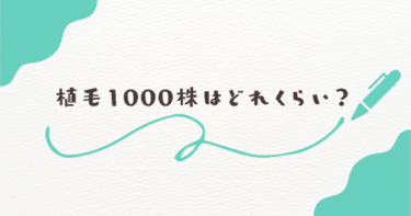 植毛1000株はどれくらい？効果とビフォーアフター例